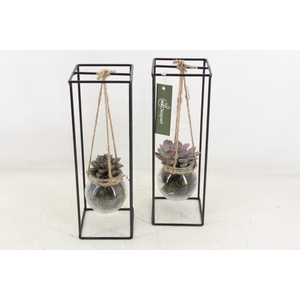 arr2 MB - Ijzer rek 1 glas