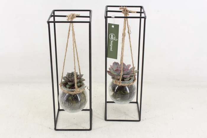 Arr2 Mb - Ijzer Rek 1 Glas