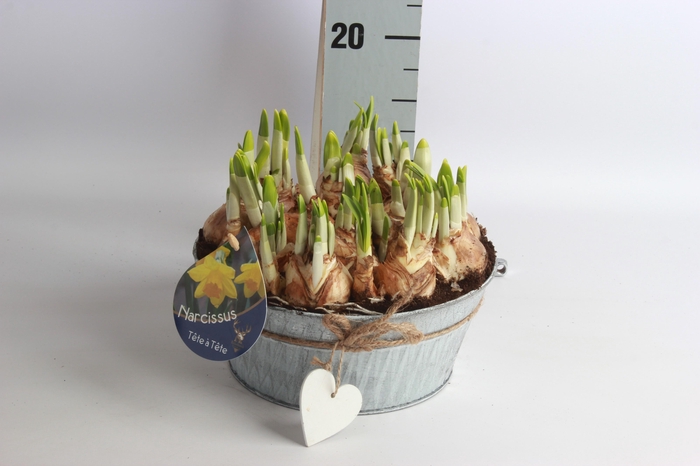 <h4>ARR N TETE A TETE</h4>