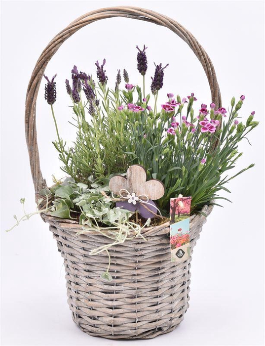 <h4>Wilg hengselmand 24 cm</h4>