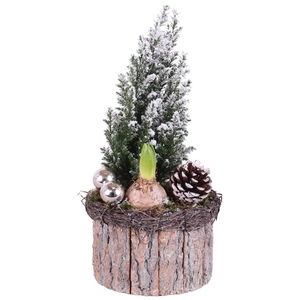 Christmas Arr.Outdoor Wooden BPot round bark salim ø15cm 2PP