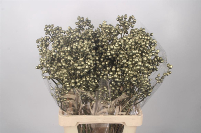 <h4>ROSA KLB GREEN GOLD H%</h4>