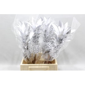 Ananas Kl Zilver Geverfd