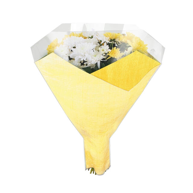 <h4>Sleeves 52x44x12cm OPP35 Duo Fibre yellow</h4>