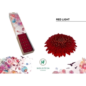 Ge Mi Pomponi Red Light Box