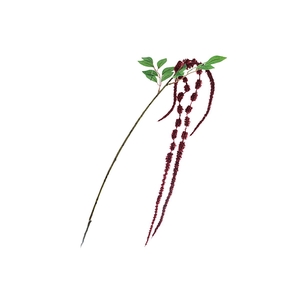 Amaranthus Spray Burgundy