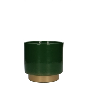Promo Phal.pot Varedo d13*12.5cm
