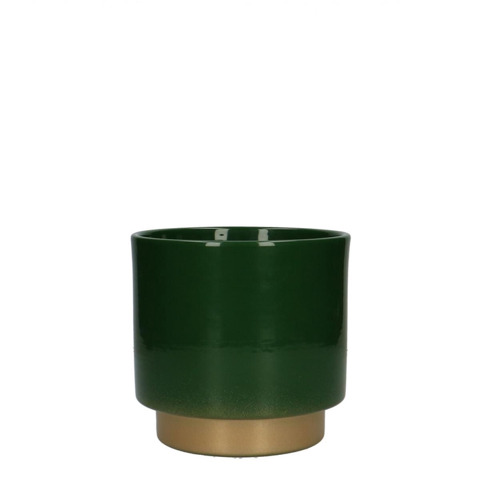 <h4>Promo Phal.pot Varedo d13*12.5cm</h4>