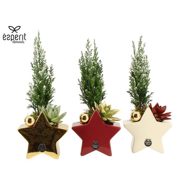 <h4>Arrangementen Kerst 6%</h4>