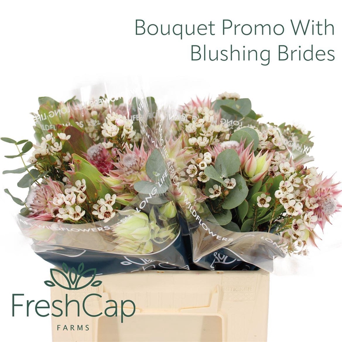 <h4>Bouquet Blushing Brides</h4>
