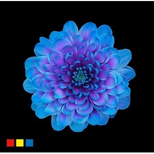 Chr T Altaj Blue Lagoon