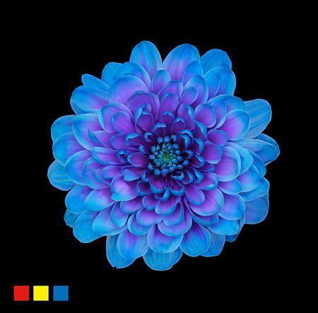 <h4>Chr T Altaj Blue Lagoon</h4>