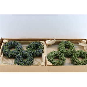 Wr Sierfruit Juniperus Naturel 20cm ( Anttar )