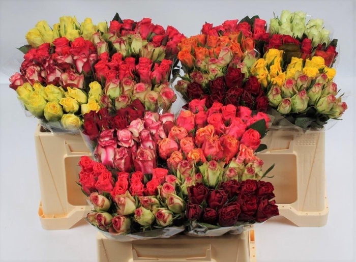 <h4>R KL GEM IN FUST</h4>