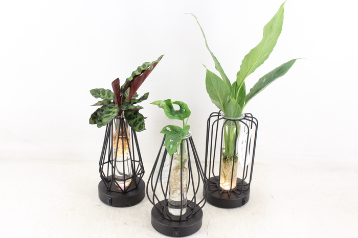 <h4>arr3 VD - Turijn glas + led</h4>