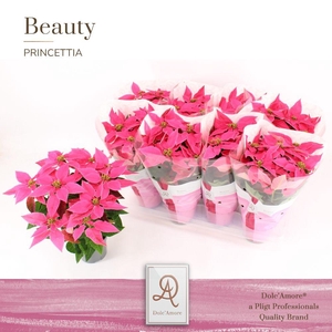 Princettia Dark Pink P12 Dolc'Amore® Beauty