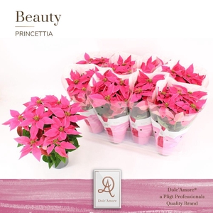 Princettia Dark Pink P12 Dolc'Amore® Beauty