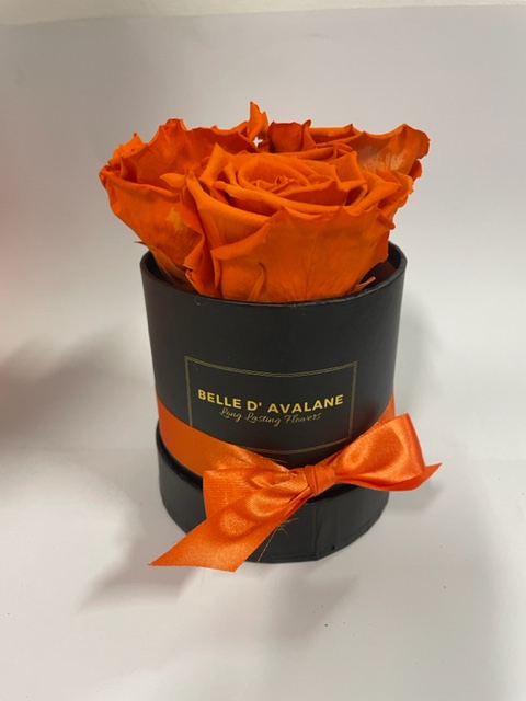 Box rd 10cm zwart-klei cly01