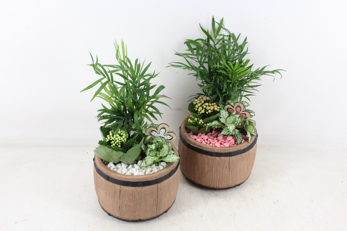 <h4>arr2 PL - Ker. barrel  floriday</h4>