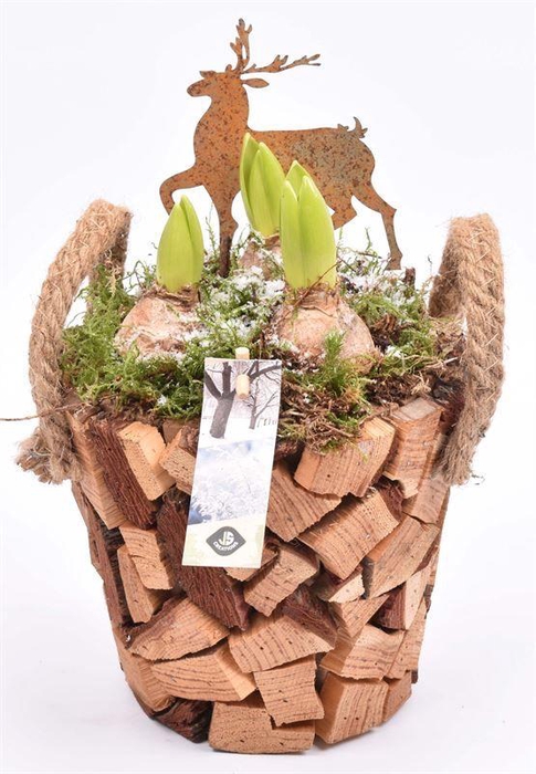 <h4>Hout pot natuur 17cm</h4>