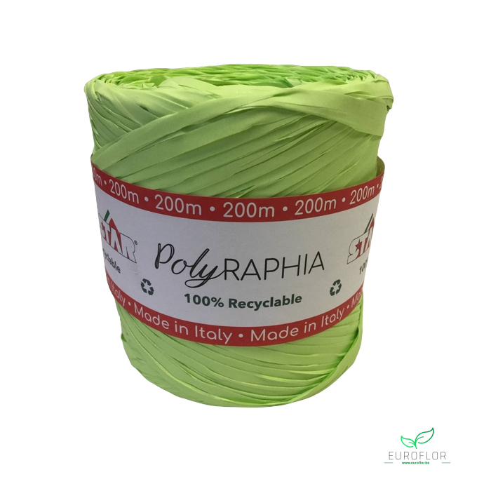 <h4>POLYRAPHIA MINT 15MM 200M (color 2649)</h4>