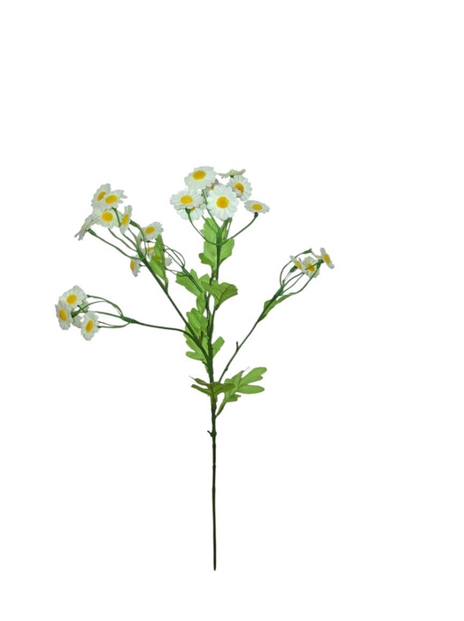 <h4>AF Matricaria Chamom L54cm wh</h4>