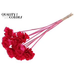 Shola Karnish Flower 6cm on stem Cerise