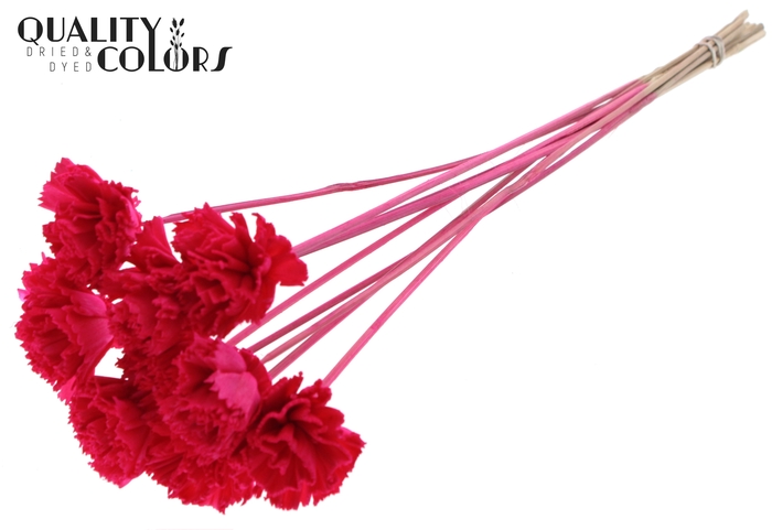 Shola Karnish Flower 6cm on stem Cerise