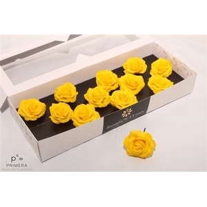 Roos Wax Zijde 9820 M Yellow