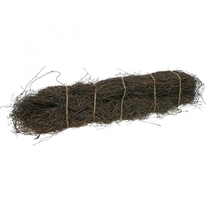 MUELHENBECHIA