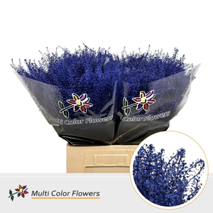 Thlaspi Metallic Blauw Donker