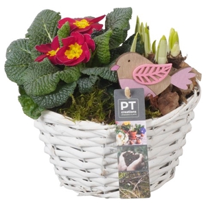 PTBM3089 Arrangementen Tuinplanten