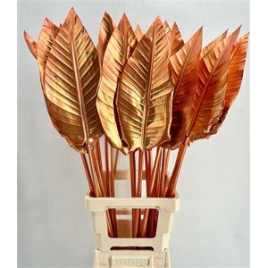 Strelitzia Blad Painted Copper