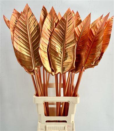 <h4>Strelitzia Blad Painted Copper</h4>