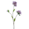 Weigelia spray purple 85cm