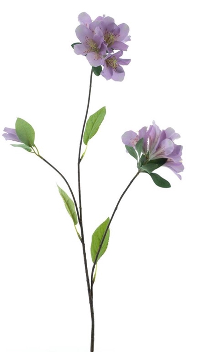 <h4>Weigelia spray purple 85cm</h4>