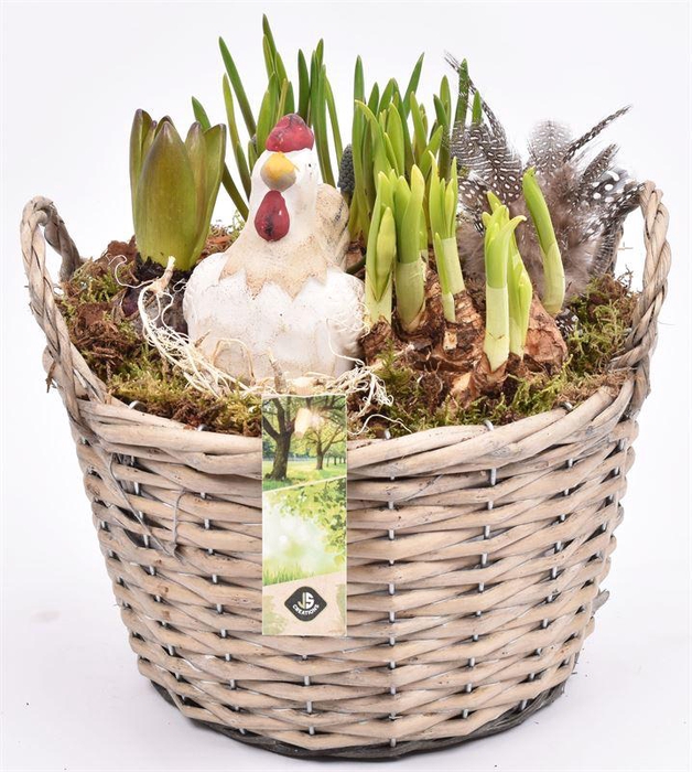 <h4>Wilg mand grijs met oor 23cm</h4>