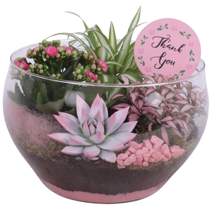 Mothersday Arr. Indoor Glass Bowl Rounded Ø25cm 4PP