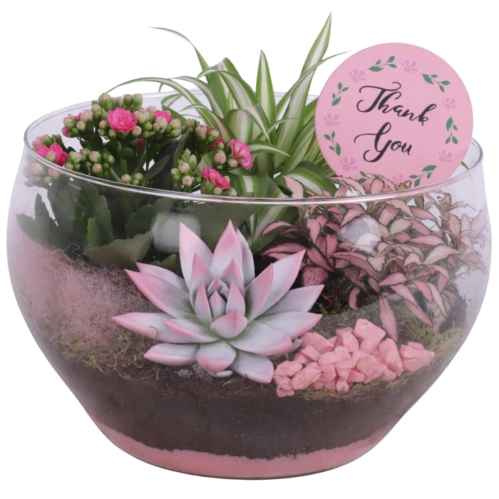<h4>Mothersday Arr. Indoor Glass Bowl Rounded Ø25cm 4PP</h4>