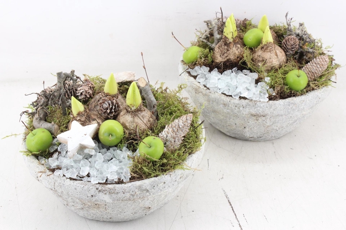 <h4>arr4 Hyacint MB - Beton schaal white</h4>