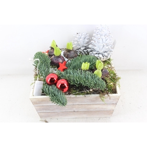 arr4 Hyacint JS - Hout 4kant LED RED