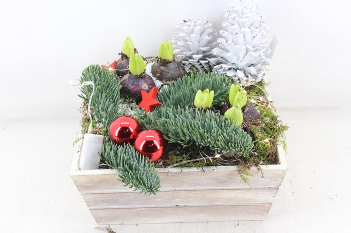 <h4>arr4 Hyacint JS - Hout 4kant LED RED</h4>