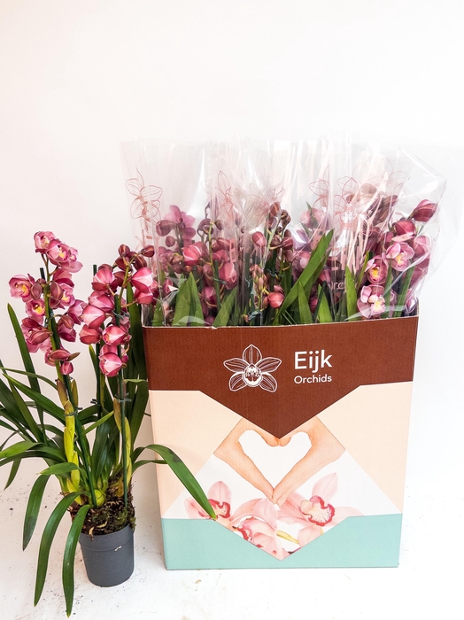 <h4>CYMB OVERIG</h4>