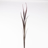AF Pennisetum x2 L122cm Red