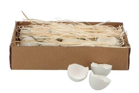<h4>Eggs Duck Bowl Natural</h4>