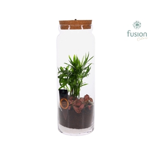 Glazen vaas met Terrarium Arrangement