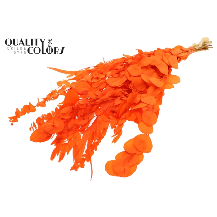 <h4>Eucalyptus Mix Preserved Bleached Coral</h4>