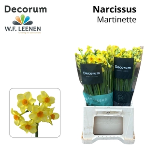 NARC TA MARTINETTE 566