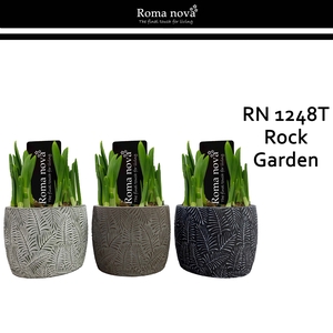 Narcis Rom 1248T Rock Garden