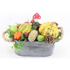 arr4 Sierfruit JS - Zink ovaal oor 338/4